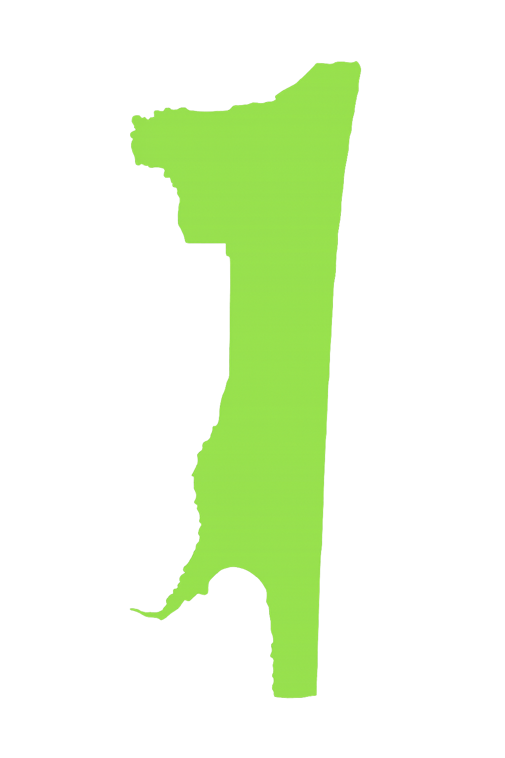 View Pro Touch Movers' full-service moving coverage across Florida counties. A green map of a country on a white background.