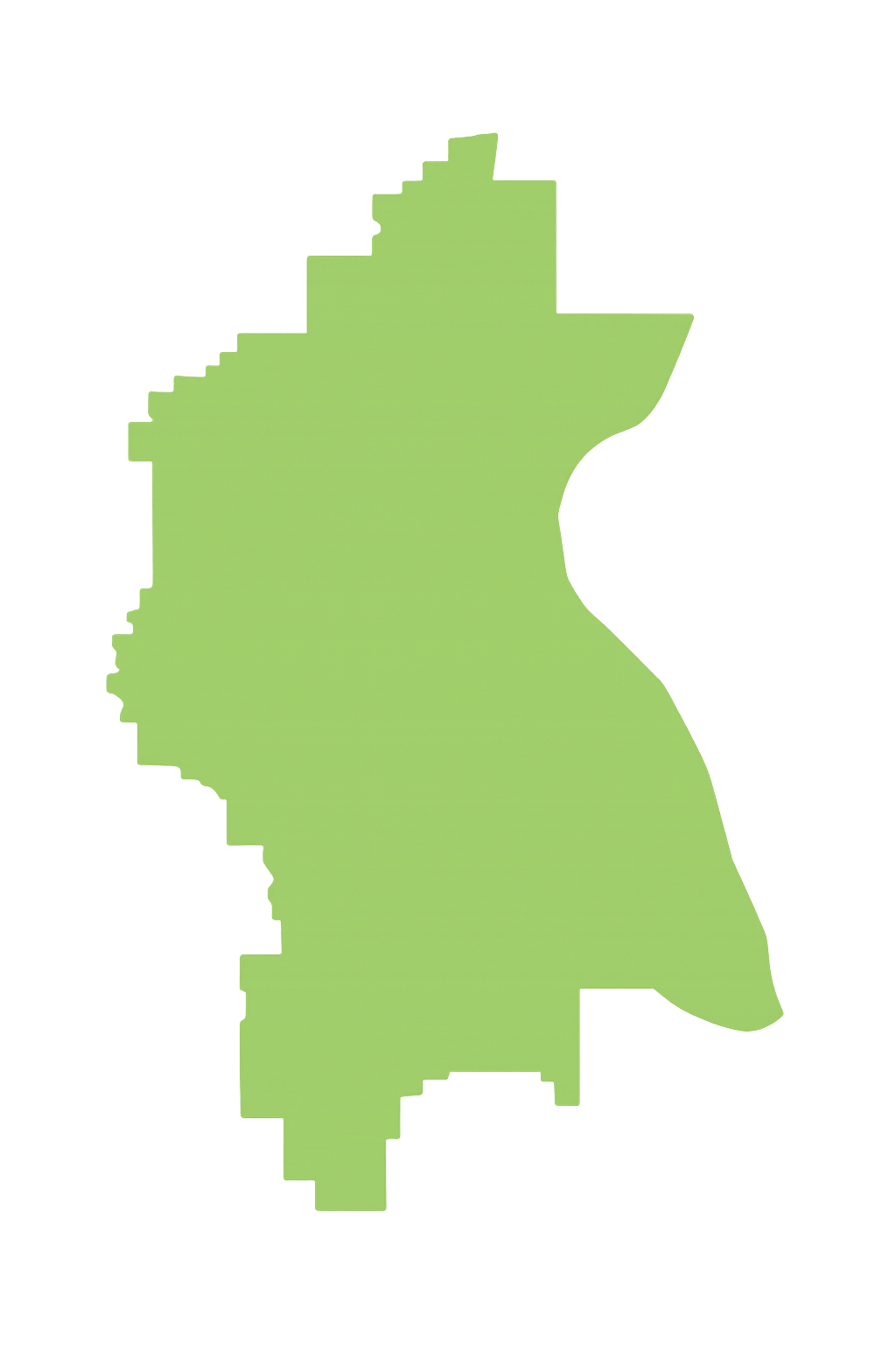 View Pro Touch Movers' full-service moving coverage across Florida counties. A green map of a city on a white background.