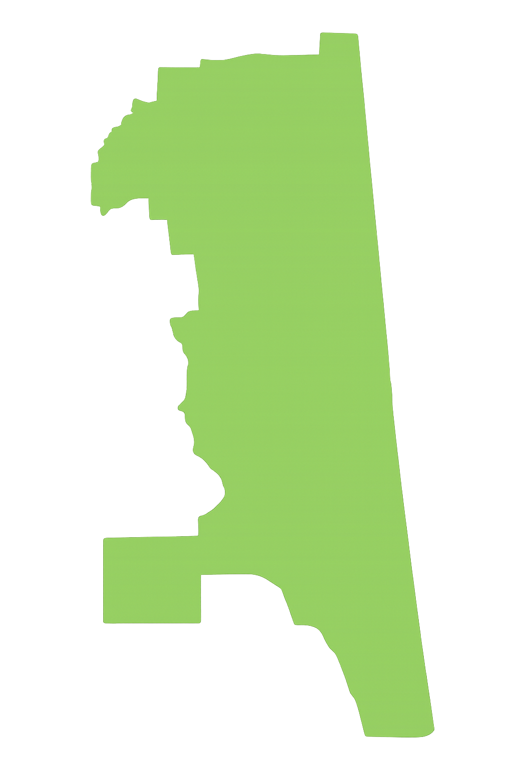 View Pro Touch Movers' full-service moving coverage across Florida counties. A green map of a country on a white background.