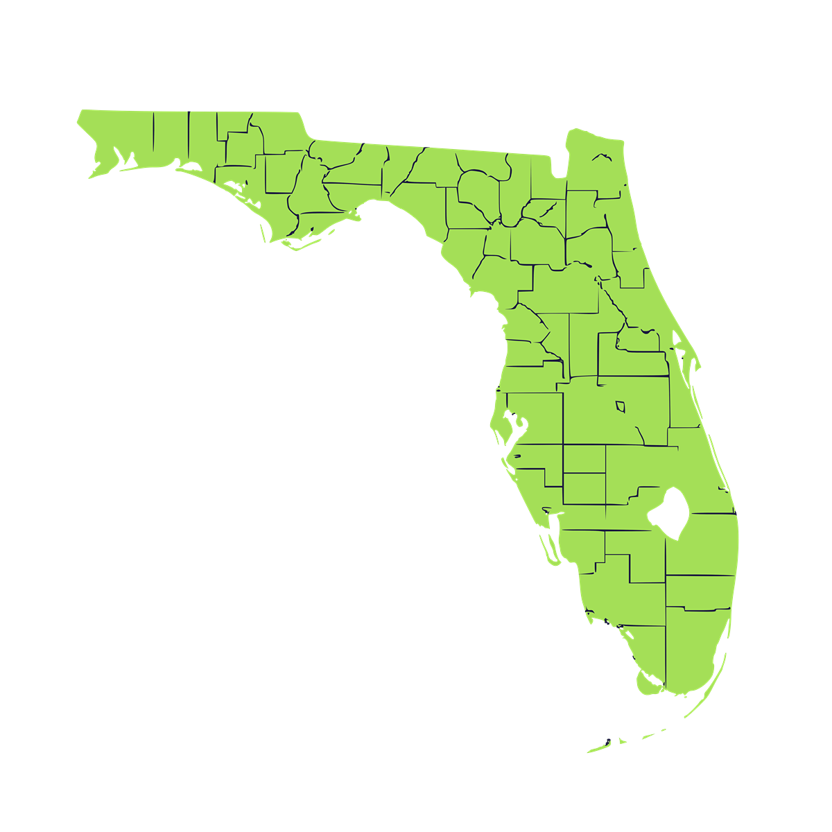 Green map of Florida highlighting Pro Touch Movers’ service coverage across major counties and regions.