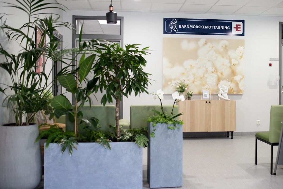 Kontorsväntrum med växter i stora grå blomlådor, ljust träskåp, konst och en glimt av en hall.