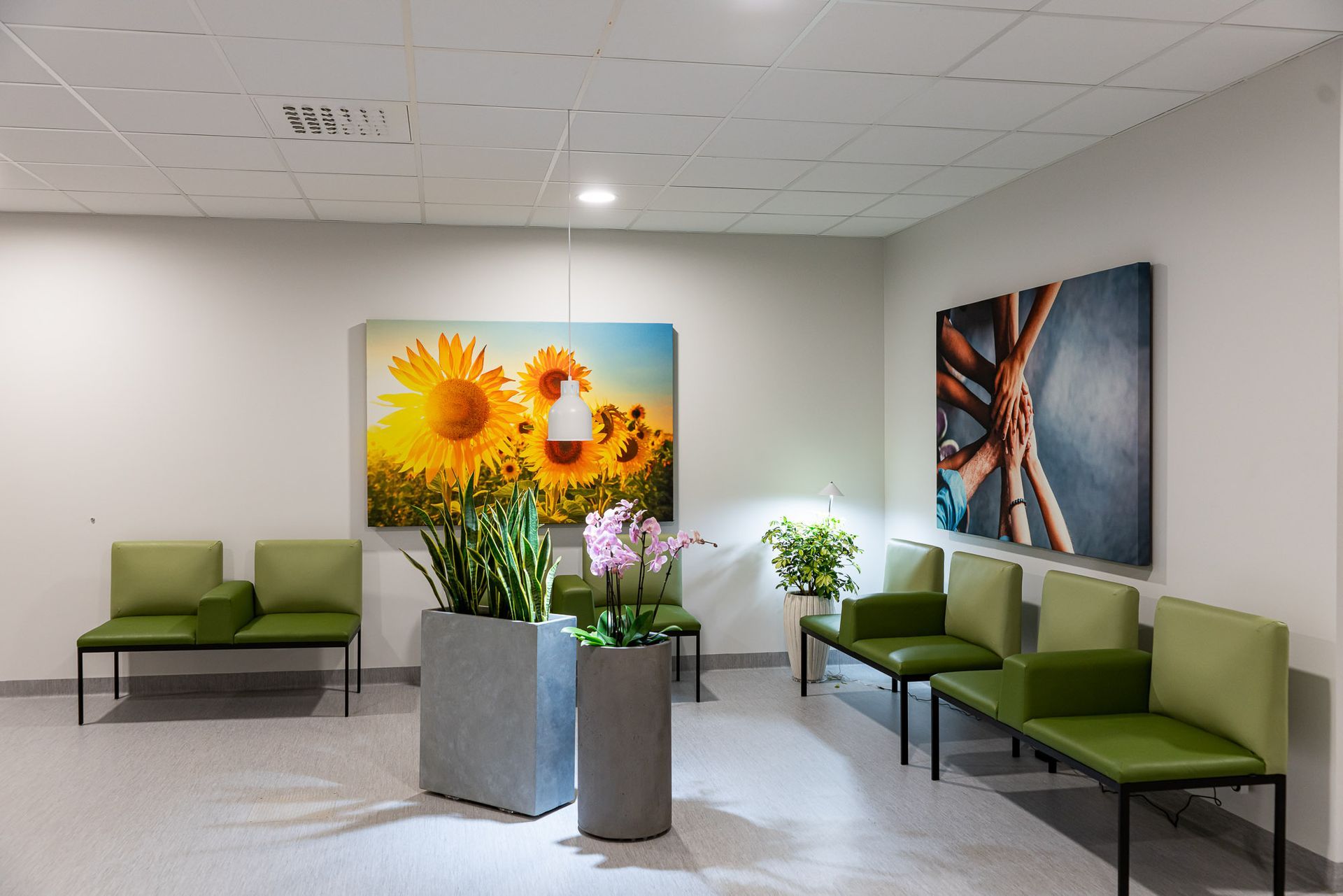 Väntrum med gröna stolar, konstverk, växter och vita väggar.