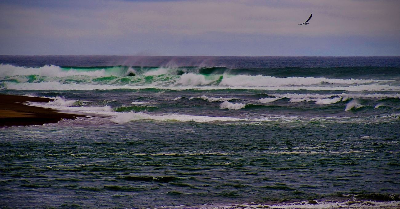 Ocean waves crashing near a rocky shore under a cloudy sky with a bird in flight.