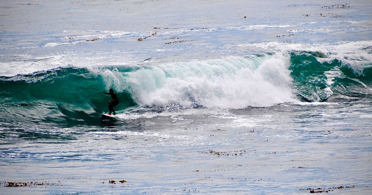 Surfer on a turquoise wave, riding toward the shore.