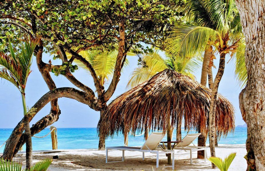 Beach scene with palm trees, a thatched-roof sun shelter, and two white lounge chairs facing the turquoise ocean.
