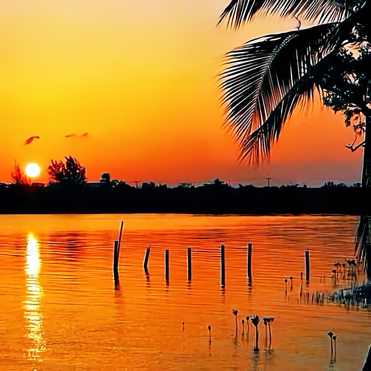 Sunset over calm water, reflected in orange and yellow hues. Palm tree silhouette, wooden posts in water.