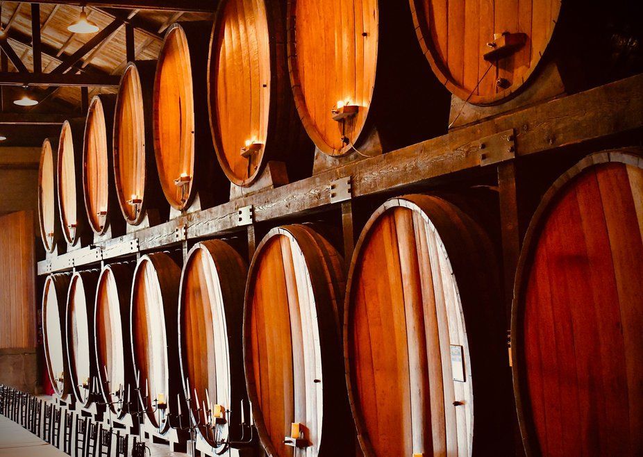 Row of wooden wine barrels in a dimly lit cellar, arranged on shelves.