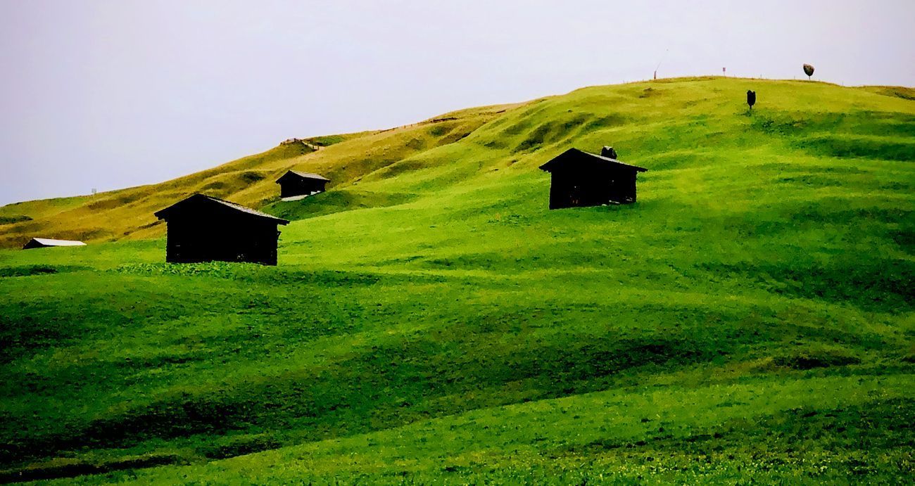 Green hillside with several small wooden huts. A person walks atop the hill, under a gray sky.