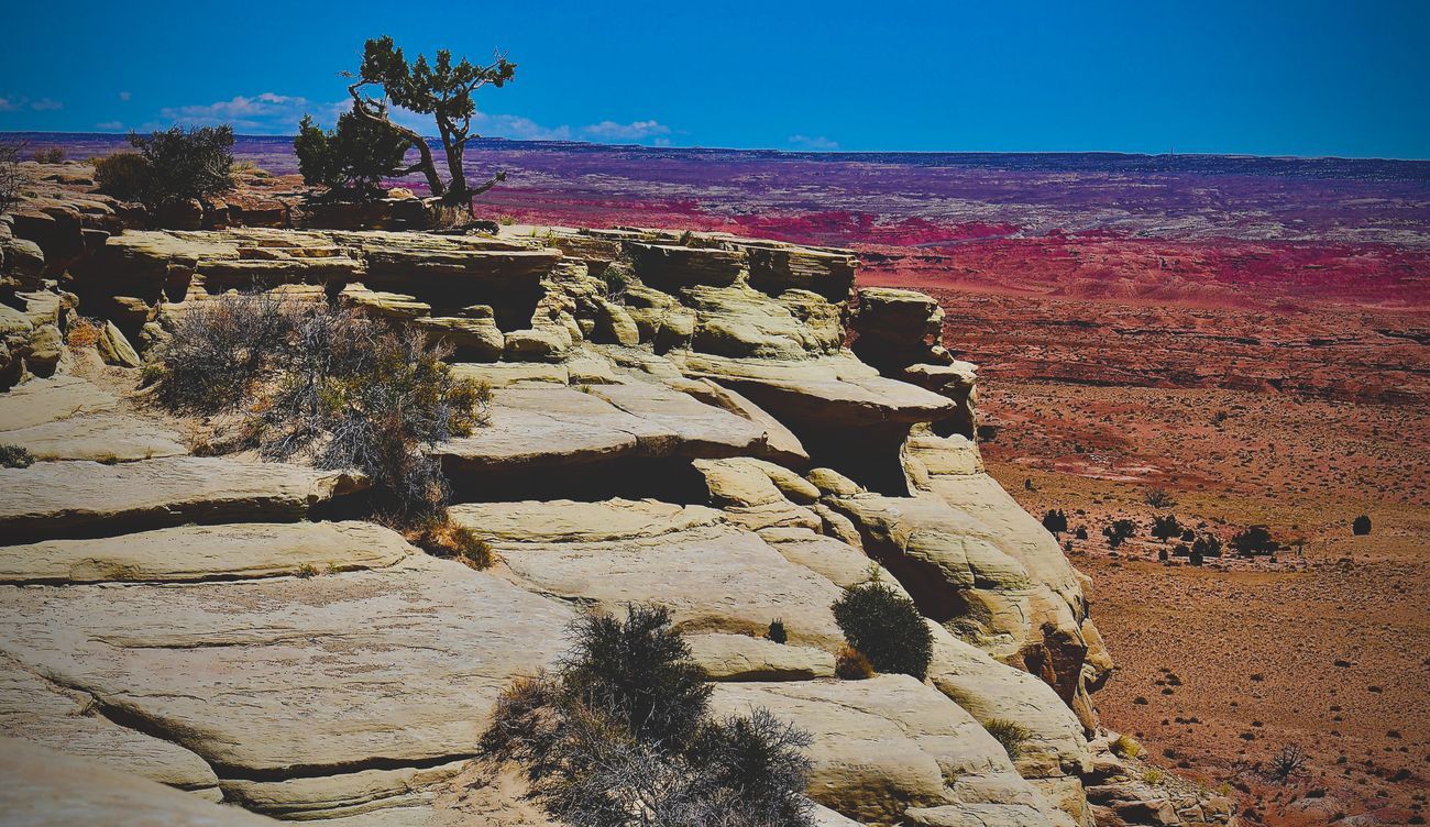 Rugged sandstone cliff overlooking a desert landscape with scrub brush and distant red and purple hues under a blue sky.