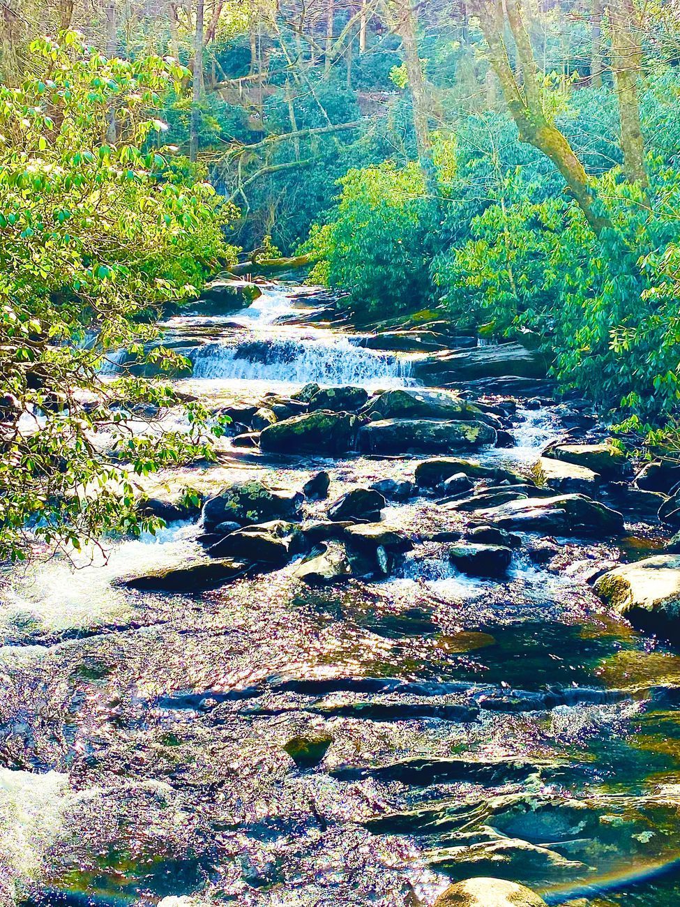 A sunlit stream cascading over rocks through lush green vegetation.