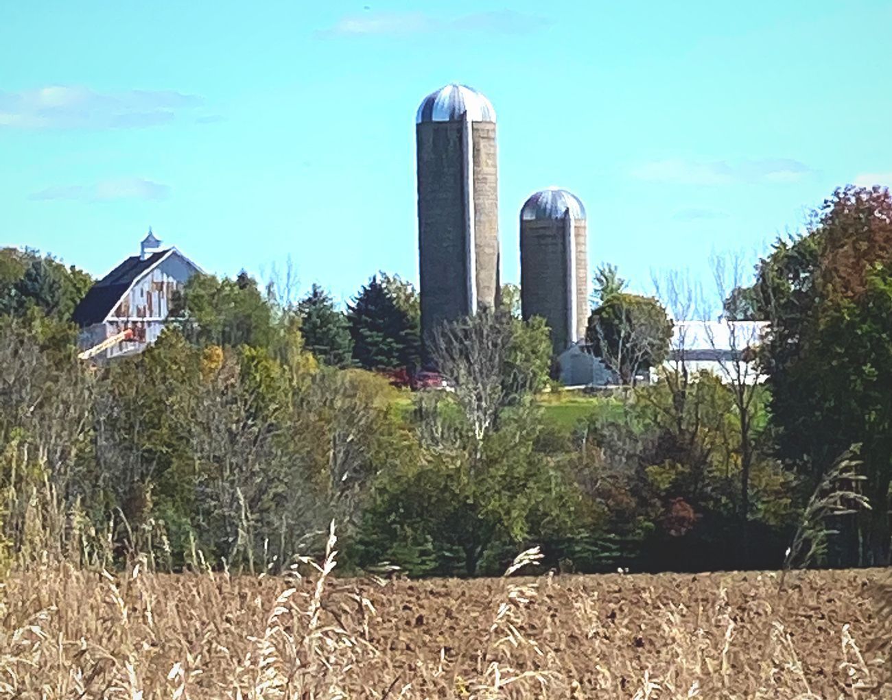 Farm scene with barn, silos, and field on a sunny day.
