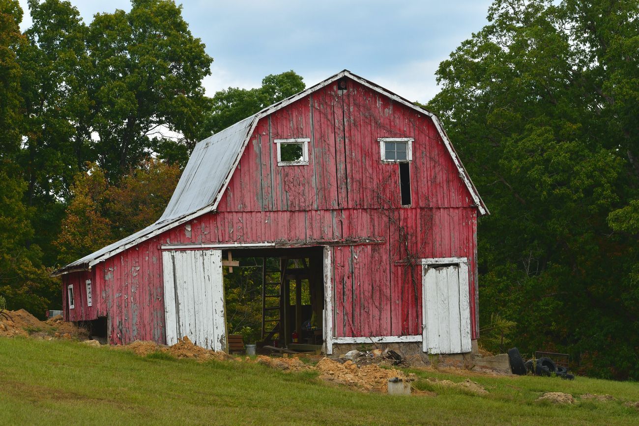 Red weathered barn with white doors on a grassy hill, surrounded by trees.