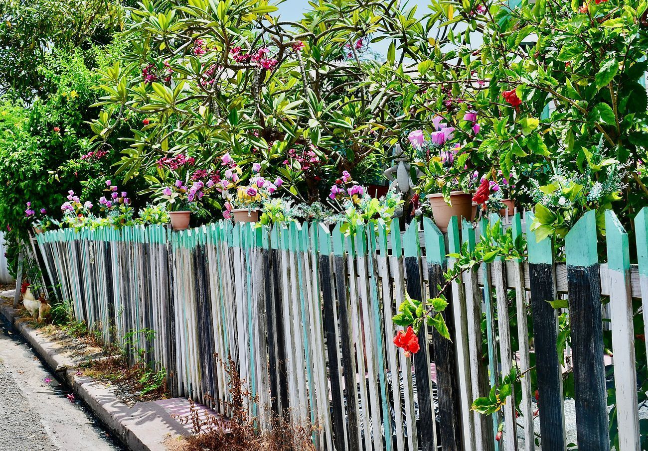Colorful wooden fence with potted plants and flowering bushes.