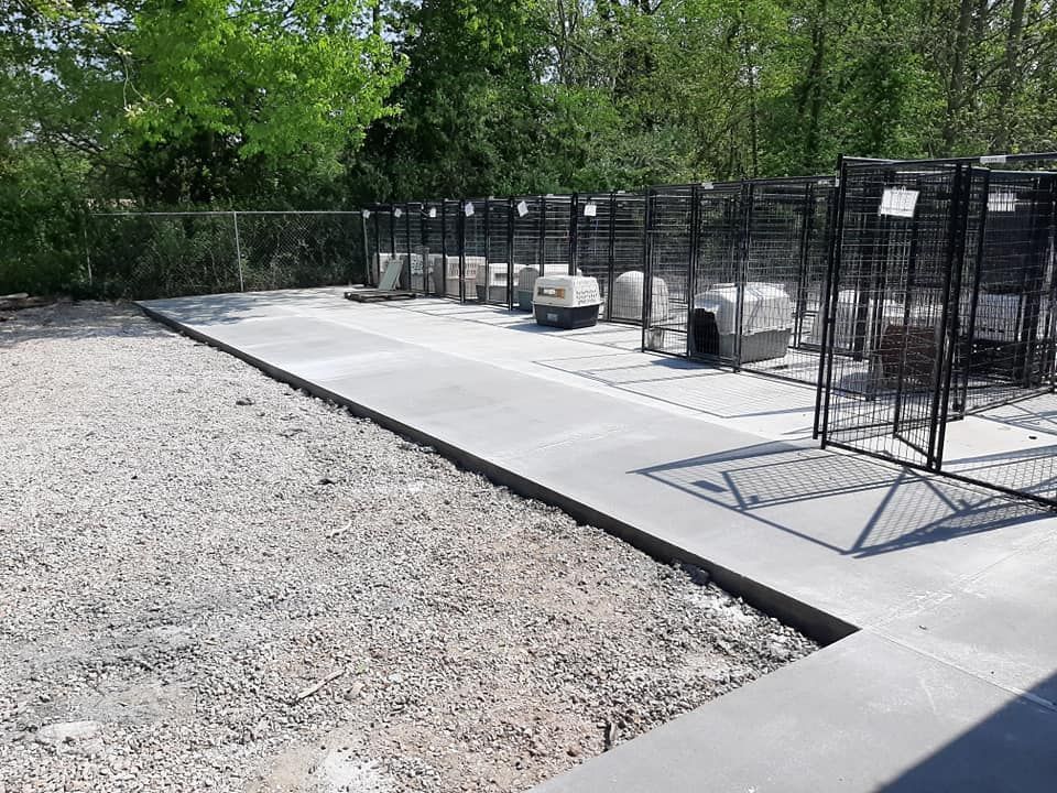 A row of outdoor dog kennels with plastic pet carriers on a concrete pad next to a gravel area.