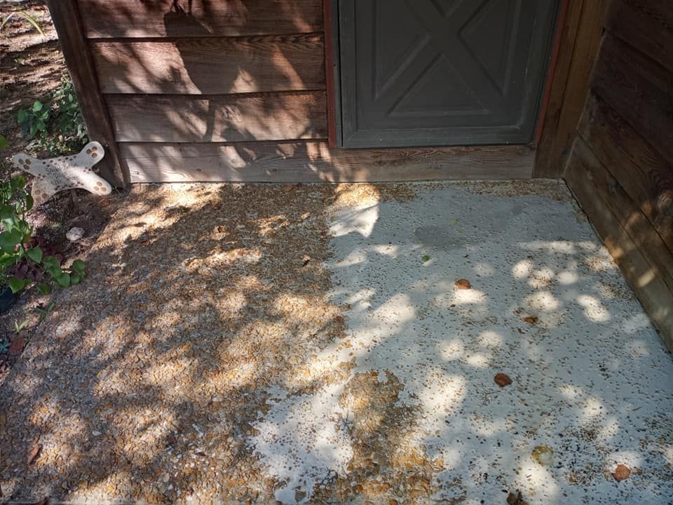 A concrete porch entryway partially covered in fallen leaves and tree shadows next to wooden siding and a grey door.