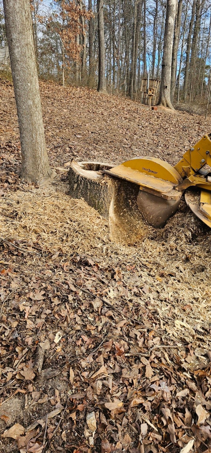 Tree Stump Removal Step Four - Flowery branch GA - Arborall Tree Service