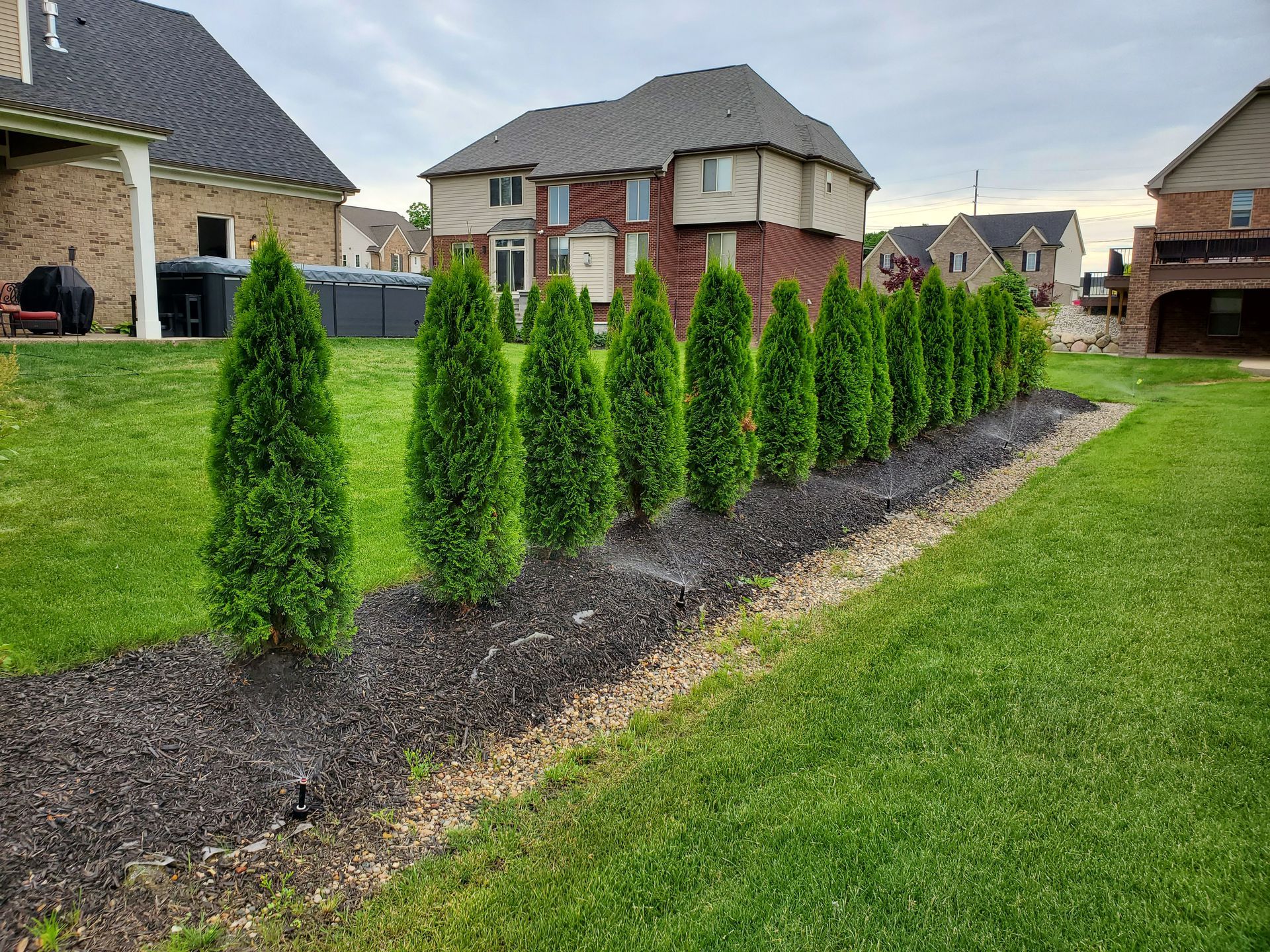 A row of trees in a yard next to a house.
