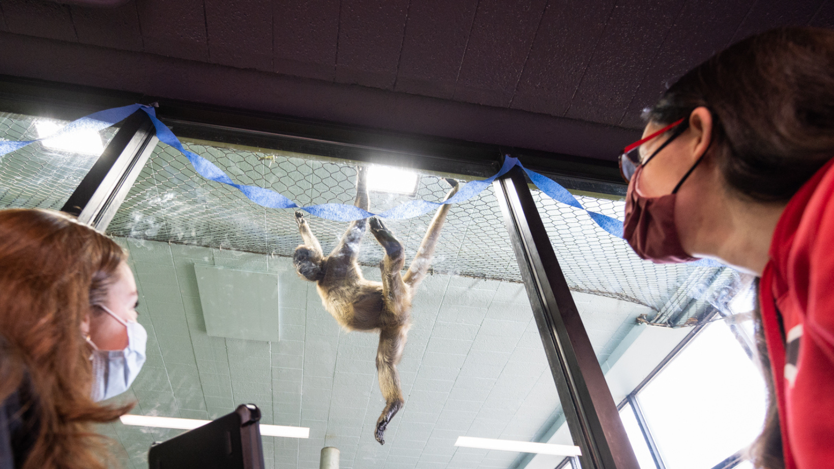 Fairfield University Students Uncover Animal Secrets at Connecticut’s Beardsley Zoo