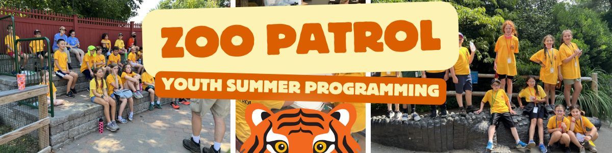 Summer Adventures Await as Connecticut's Beardsley Zoo Announces Registration Open for Zoo Patrol