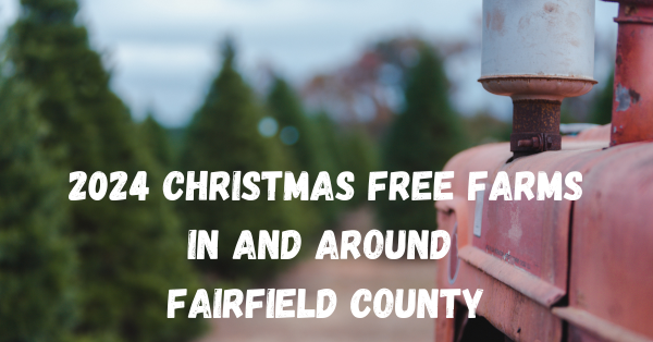 Christmas Tree Farms in and around Fairfield County.