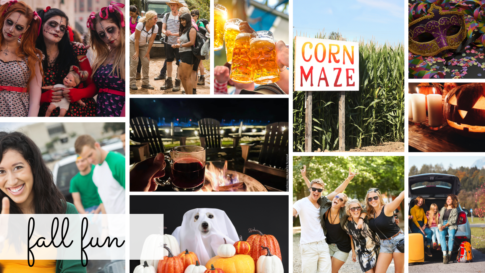 Fun Fall things to do this weekend in and around Fairfield County.