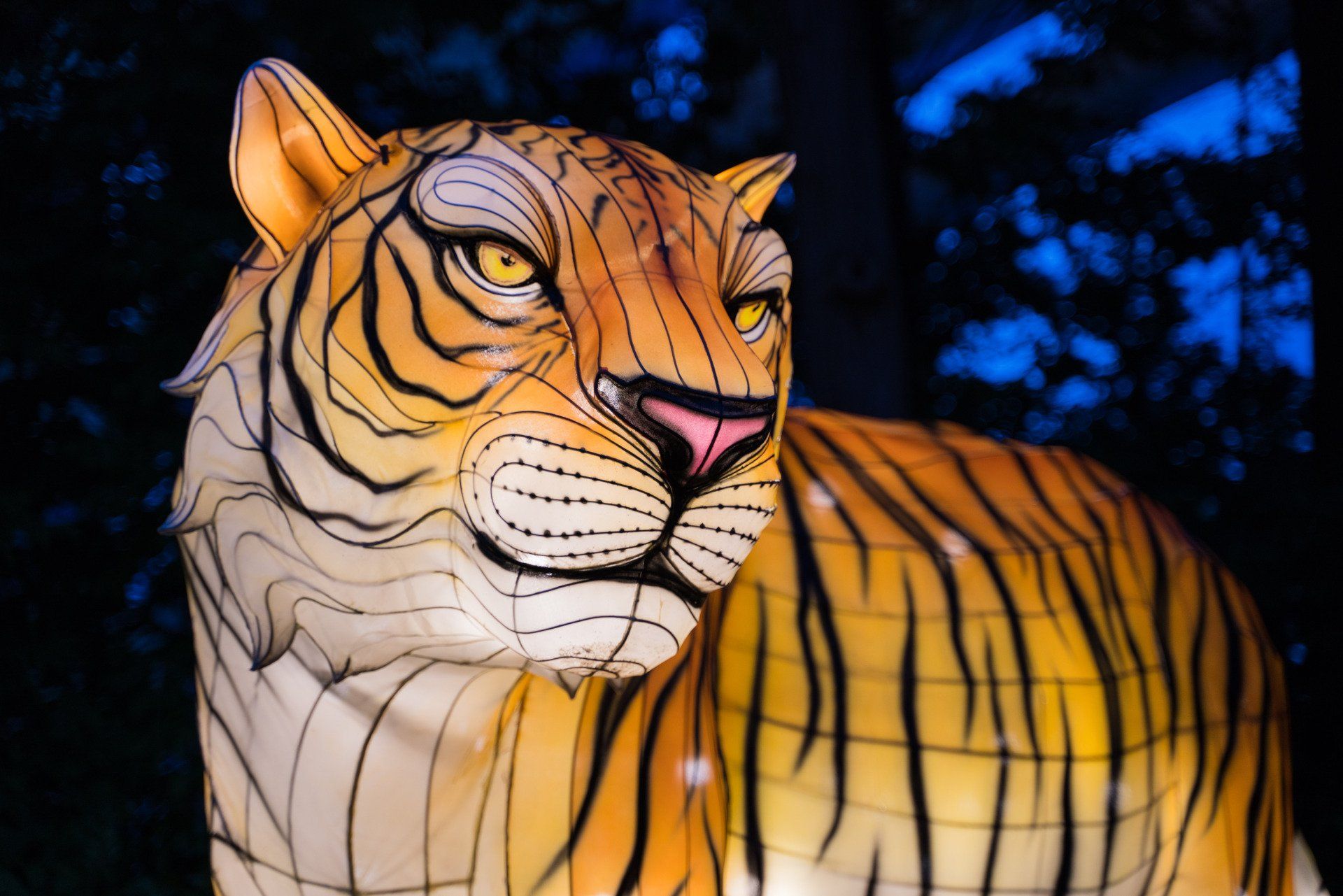 Glow Wild Lantern Festival at Beardsley Zoo runs 9/1511/27/2022