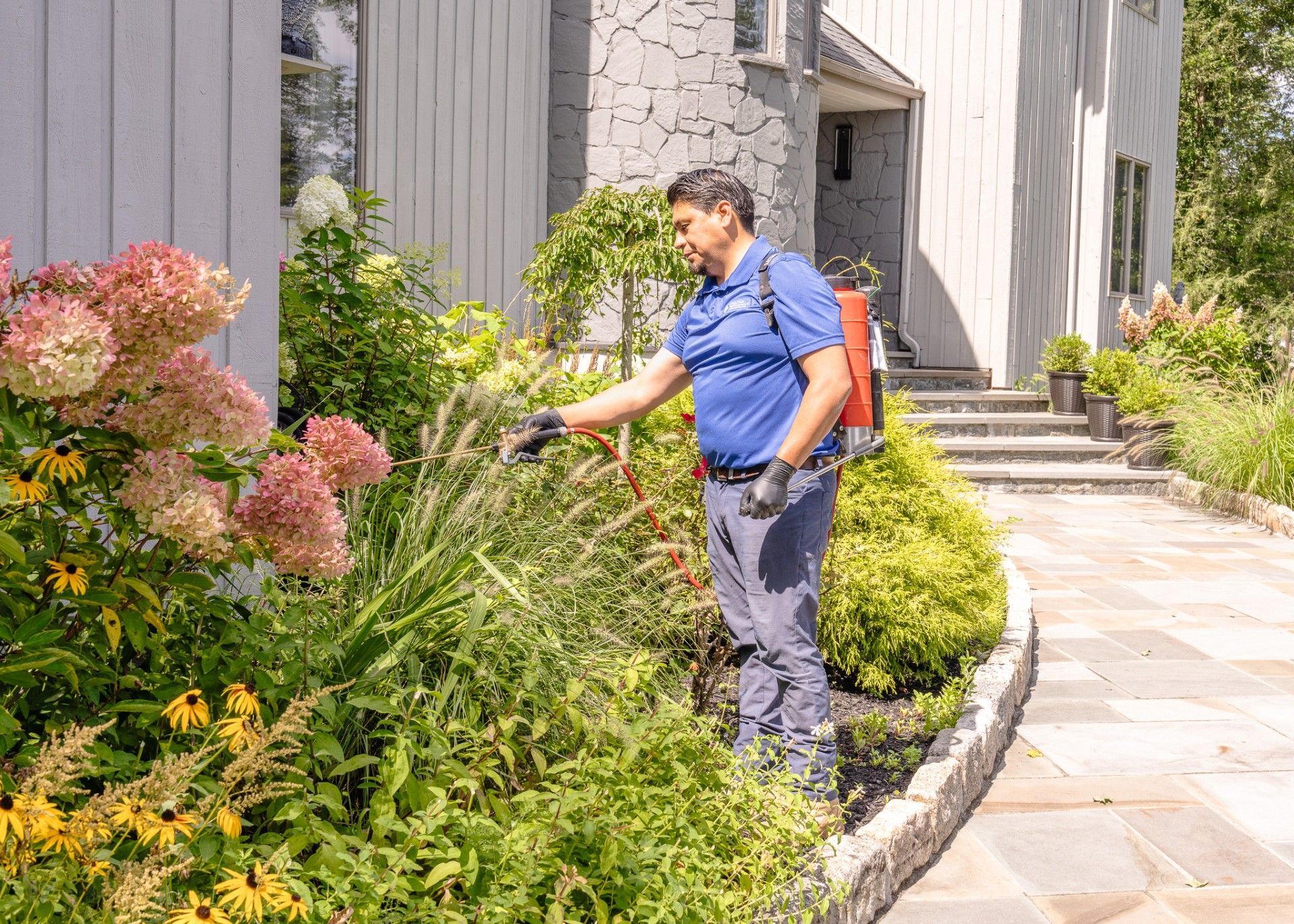 JP McHale’s Ultimate Guide to Preventing Late Summer Pests: Stinging Insects, Carpenter Ants, Mosquitoes, and Ticks