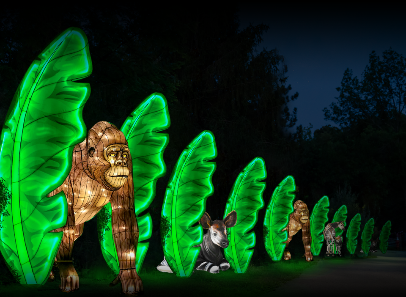 Glow Wild Tickets Now on Sale for Beardsley Zoo!