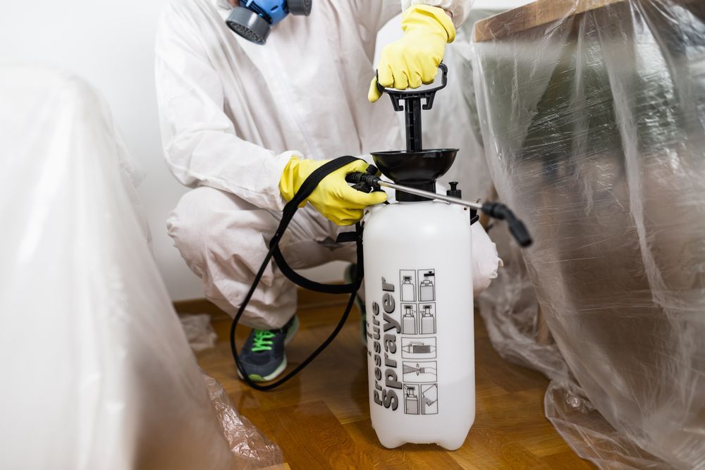 Person in protective suit spraying a room with a pressure sprayer — Bad Bugs Pest Control in Gracemere, QLD