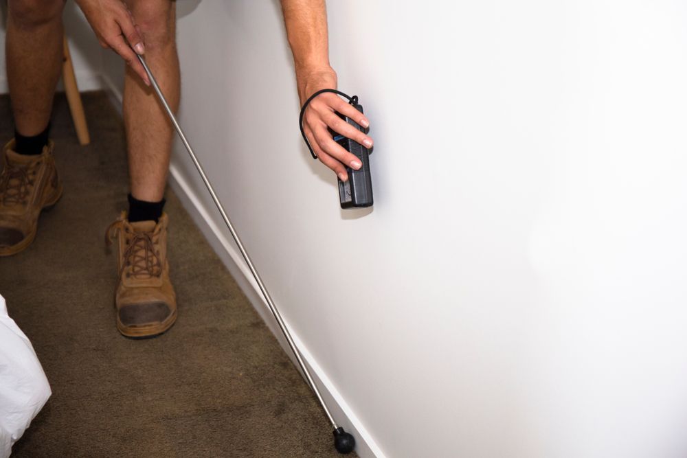 Person using a device on a wall, likely inspecting it. They wear work boots in a room with carpet — Bad Bugs Pest Control in Gracemere, QLD