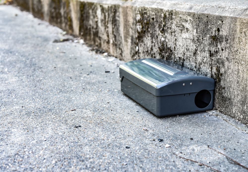 Black rodent bait station on concrete, near a weathered concrete wall — Bad Bugs Pest Control in Gracemere, QLD