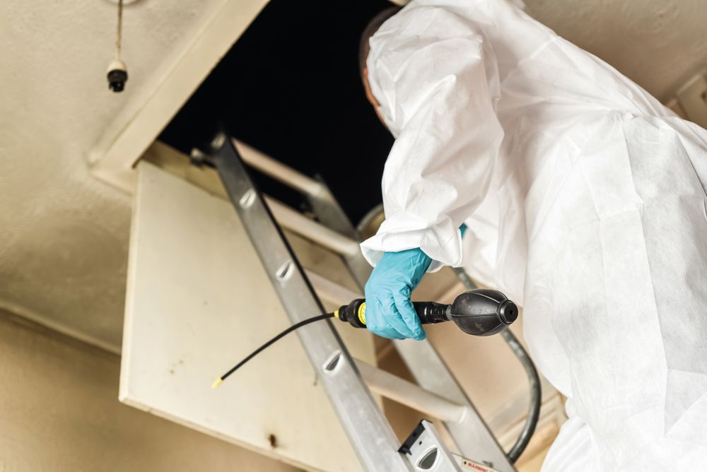 Person in protective suit sprays into an attic opening from a ladder — Bad Bugs Pest Control in Gracemere, QLD