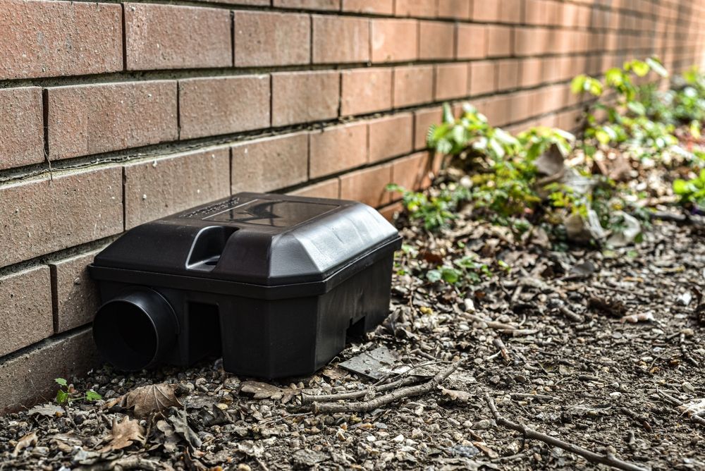 Black rodent bait station next to a brick wall and foliage on the ground — Bad Bugs Pest Control in Gracemere, QLD