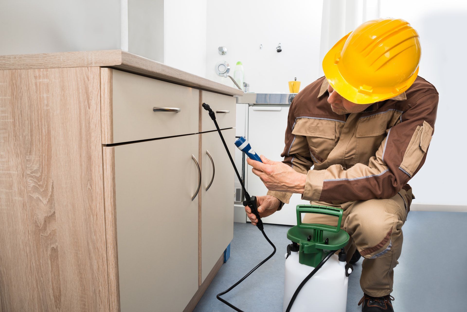 Pest Control Worker Kneeling, Spraying Base of Cabinet in a Kitchen — Bad Bugs Pest Control in Rockhampton, QLD