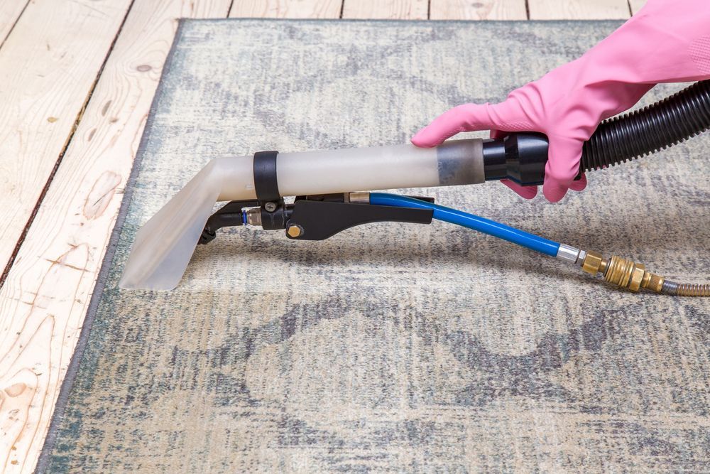 Hand in Pink Glove Using Carpet Cleaning Tool on Patterned Rug — Bad Bugs Pest Control in Rockhampton, QLD