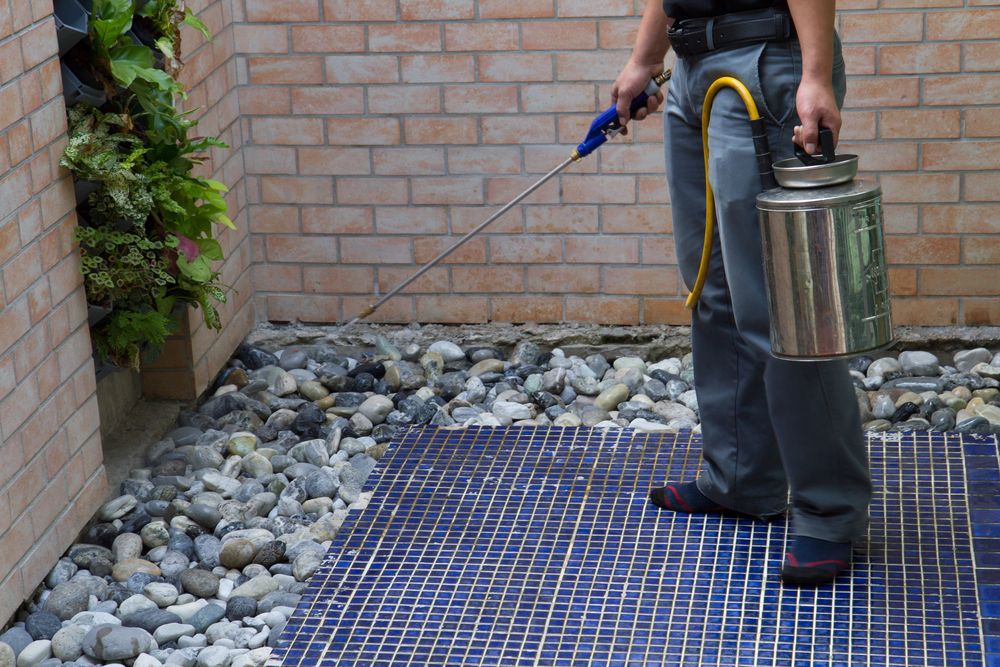 Person spraying a patio with a metal container and sprayer, near a brick wall and plants — Bad Bugs Pest Control in Gracemere, QLD