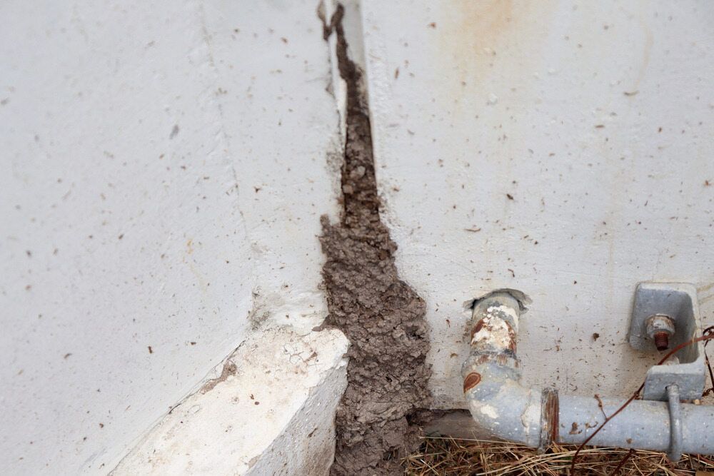 Mud Tubes on A Concrete Wall, Likely Termite Activity Near a Pipe and Bracket — Bad Bugs Pest Control in Gracemere, QLD