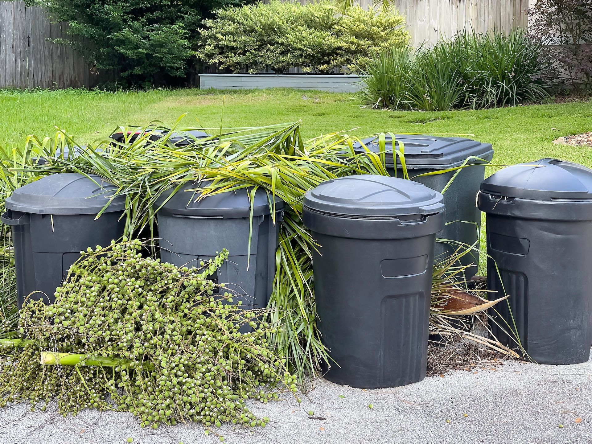 Five black trash cans overflowing with green yard waste sit on a curb — Bad Bugs Pest Control in Gracemere, QLD