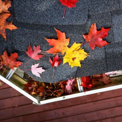 Gutter Cleaning Services