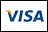 A close up of a visa logo on a white background.