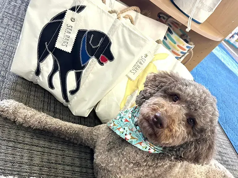 A small dog is laying on the floor next to a bag with a dog on it.