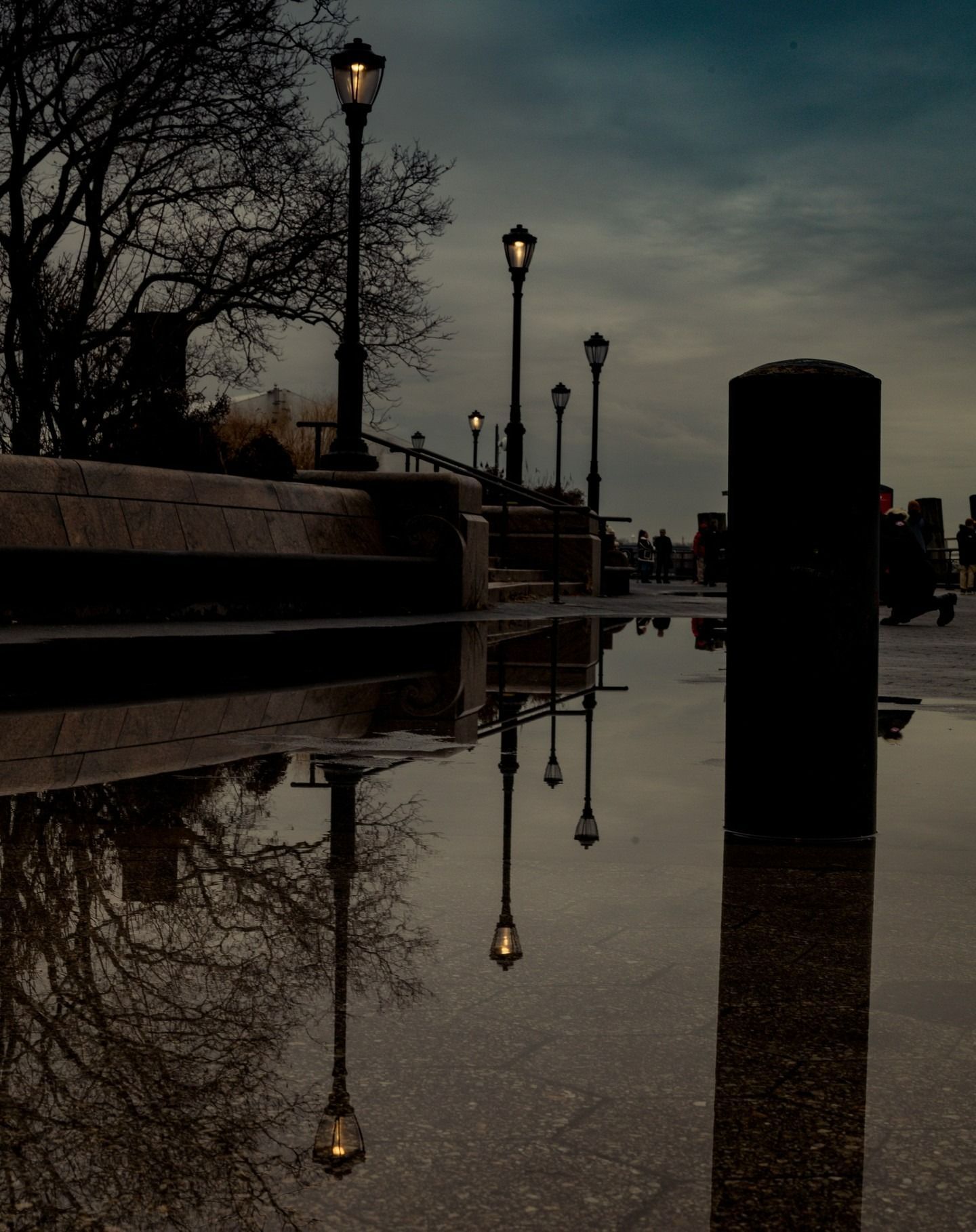 Puddle reflects streetlights, bare trees, and dark sky along a walkway.