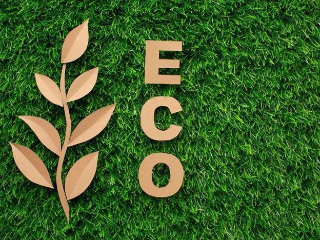 Eco-Friendly Practices