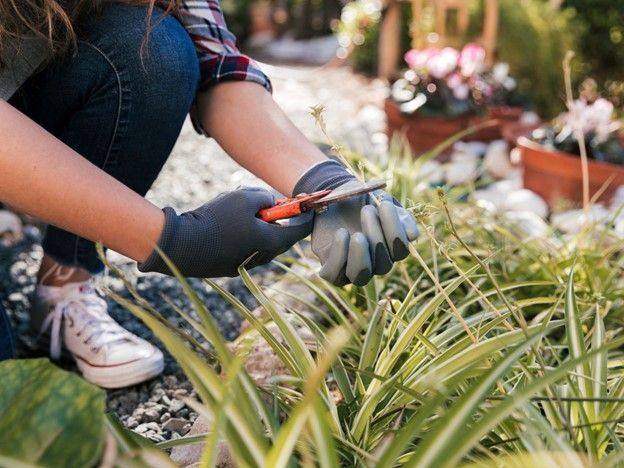 Artificial Grass Installation