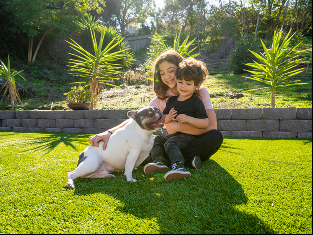 Artificial Grass, A Safe Haven for Children and Pets