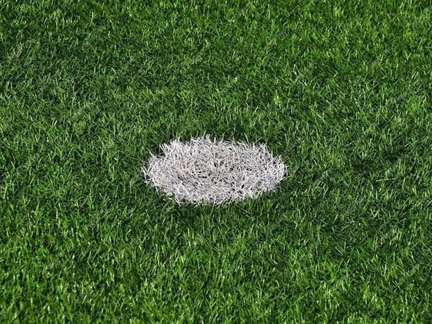 Astro Turf Price Breakdown: Saving Tips and Tricks