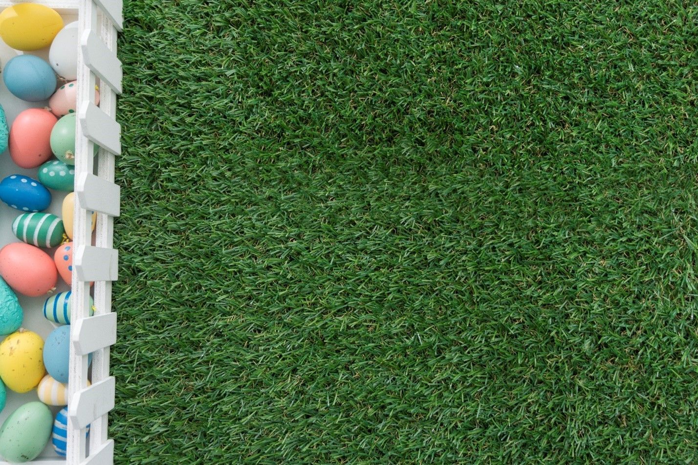 Turf Variety and Quality