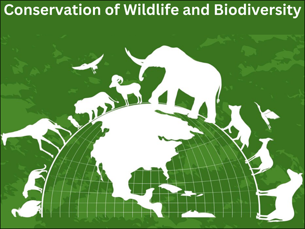 Conservation of Wildlife and Biodiversity