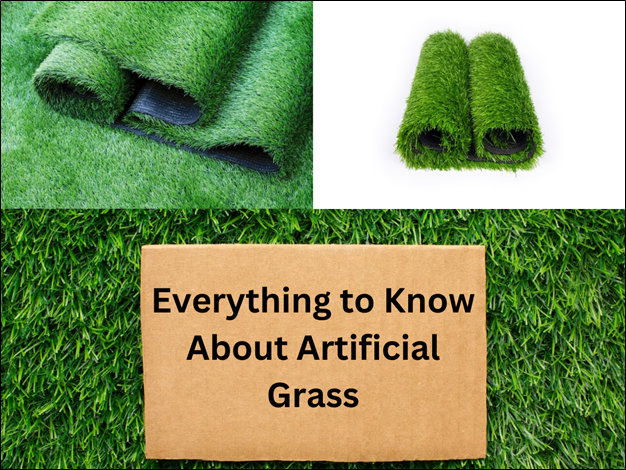 Everything to Know About Artificial Grass