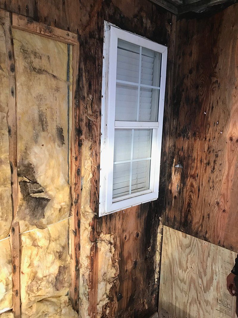 interior wall rot